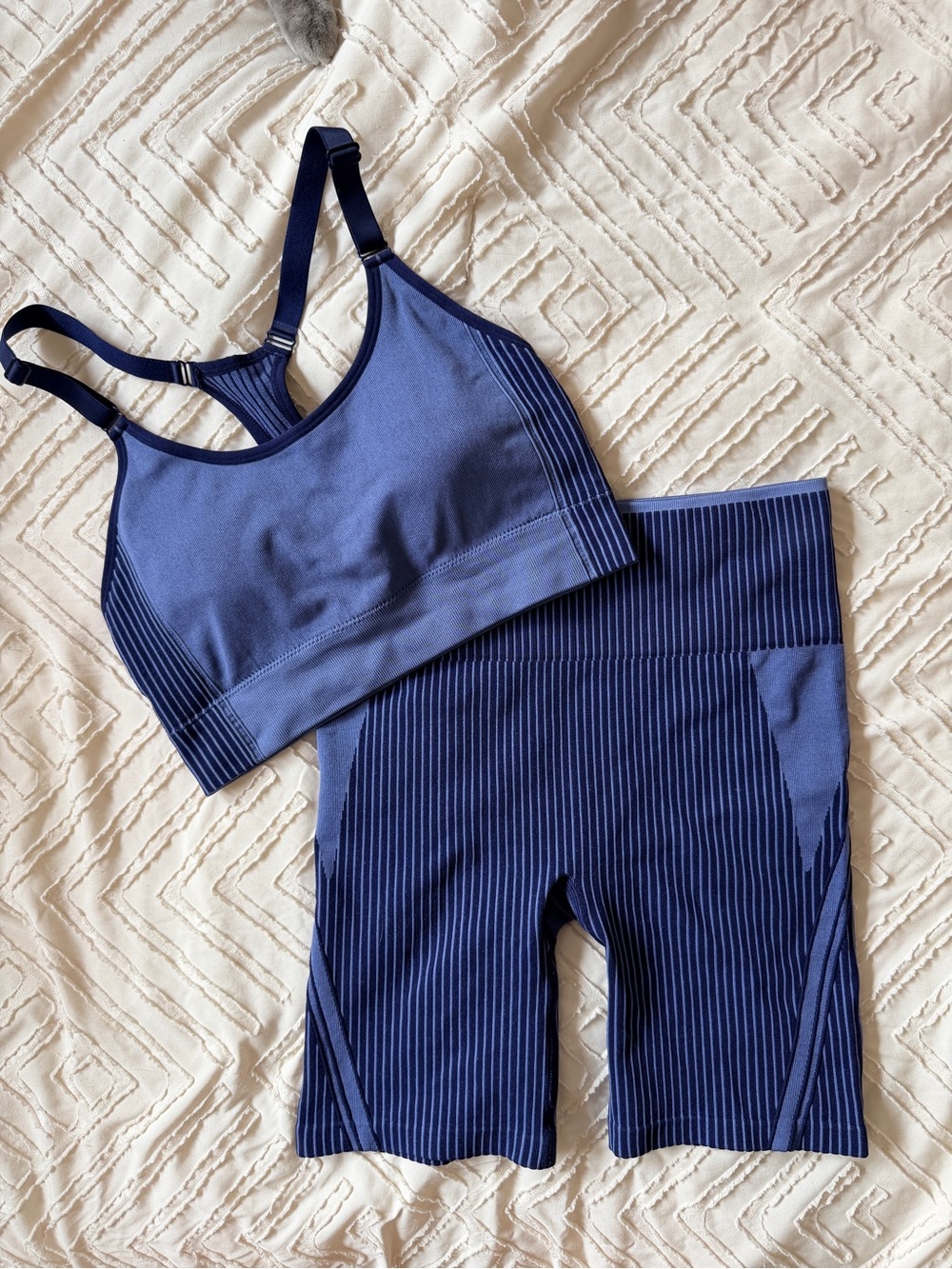 Blue Seamless Active Shorts & Sports Bra Set